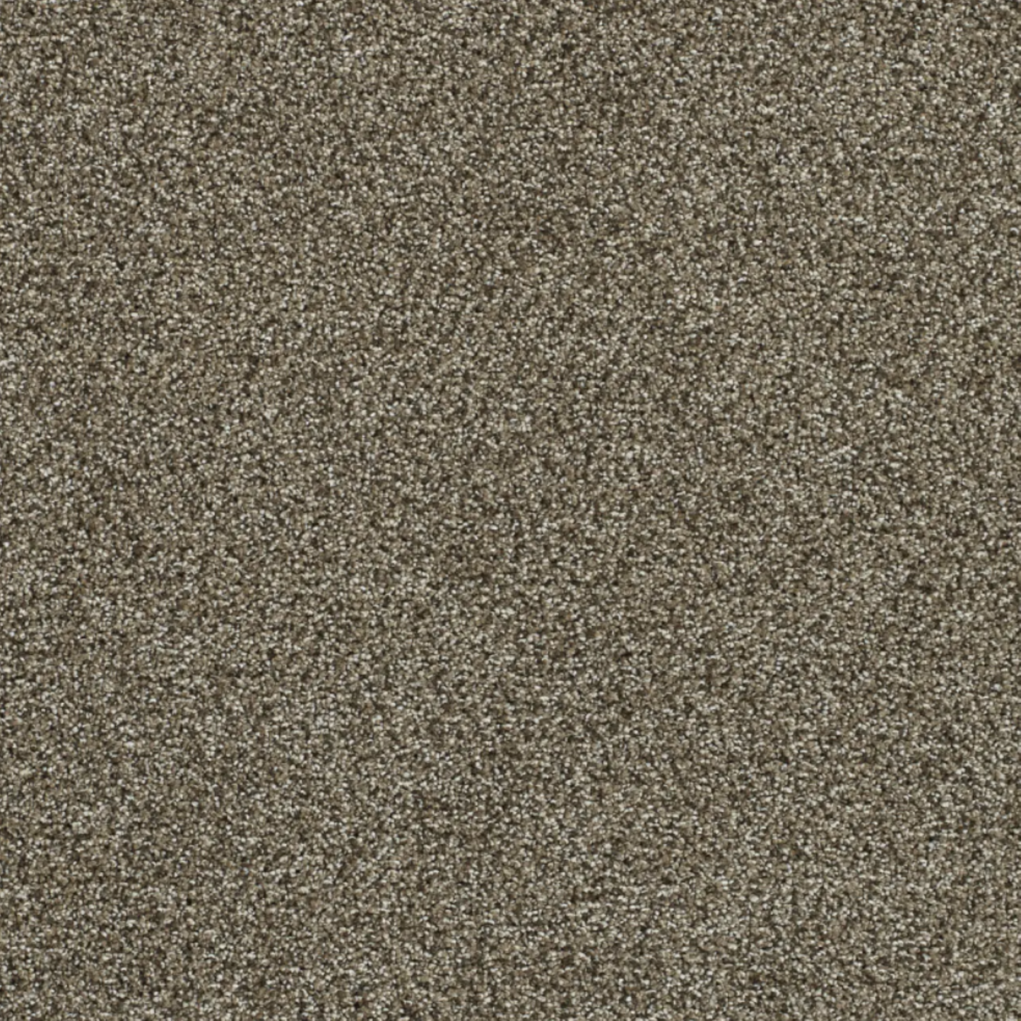 PS200 Carpet