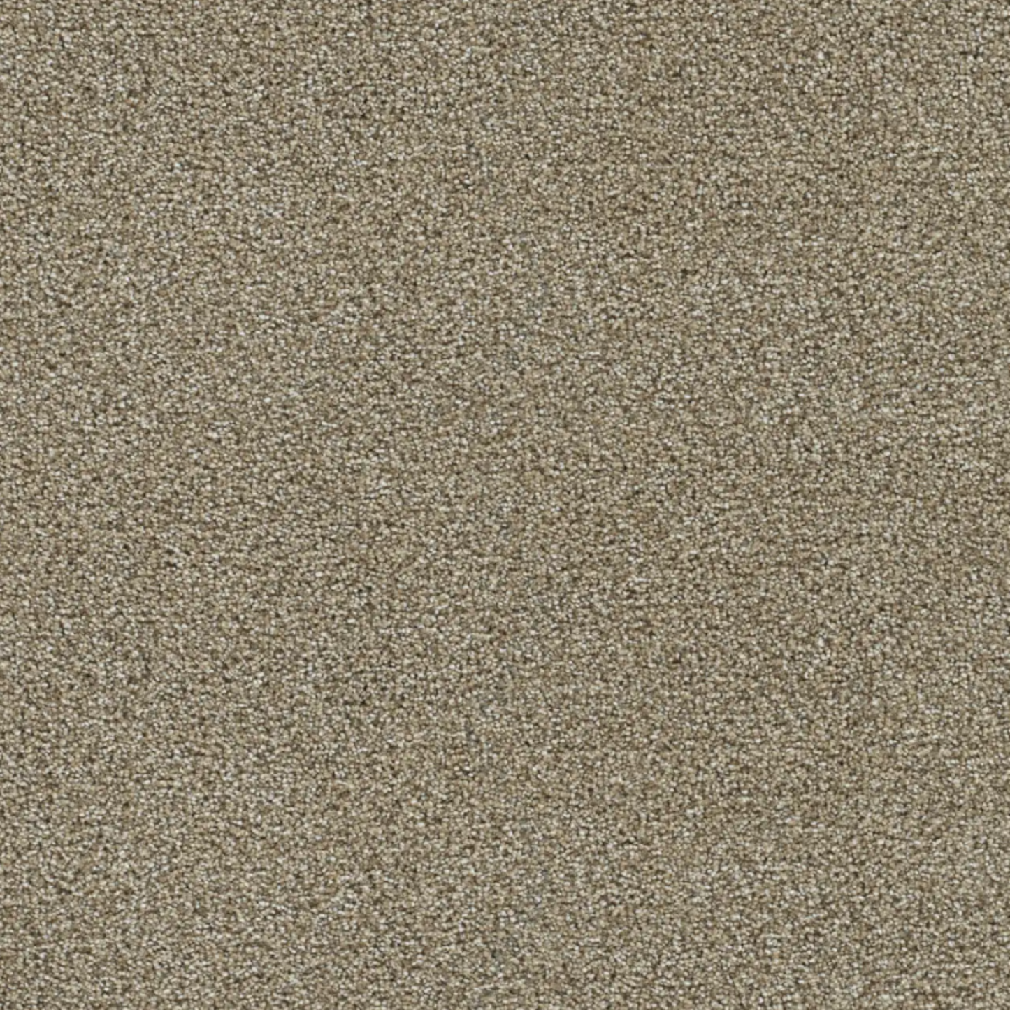 PS200 Carpet