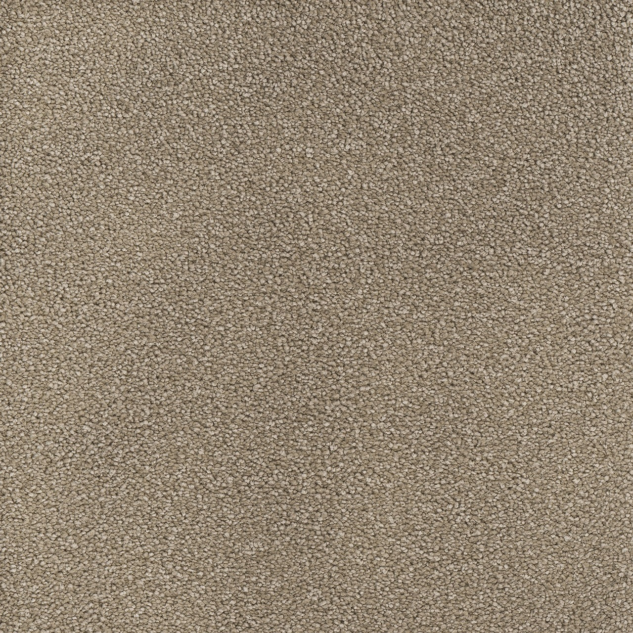 MONTAUK 2560, 715 MUSHROOM