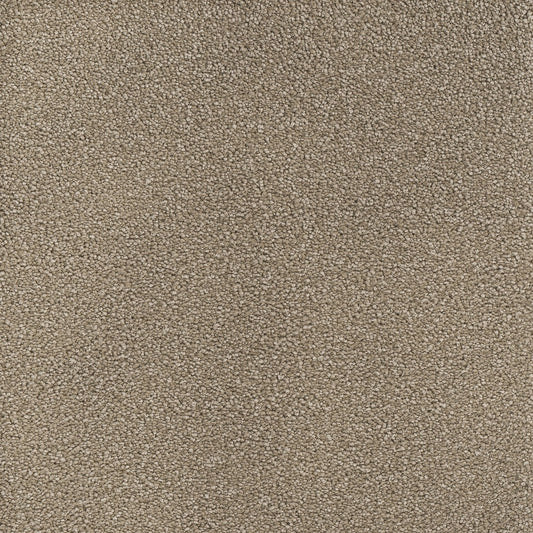 MONTAUK 2560, 715 MUSHROOM