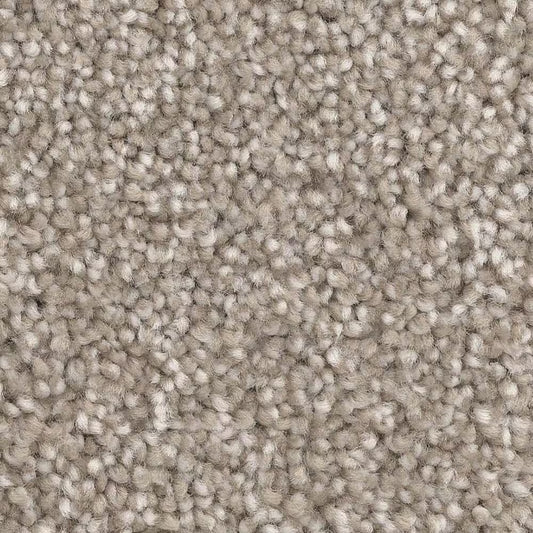 DX835, 75705 WHEAT