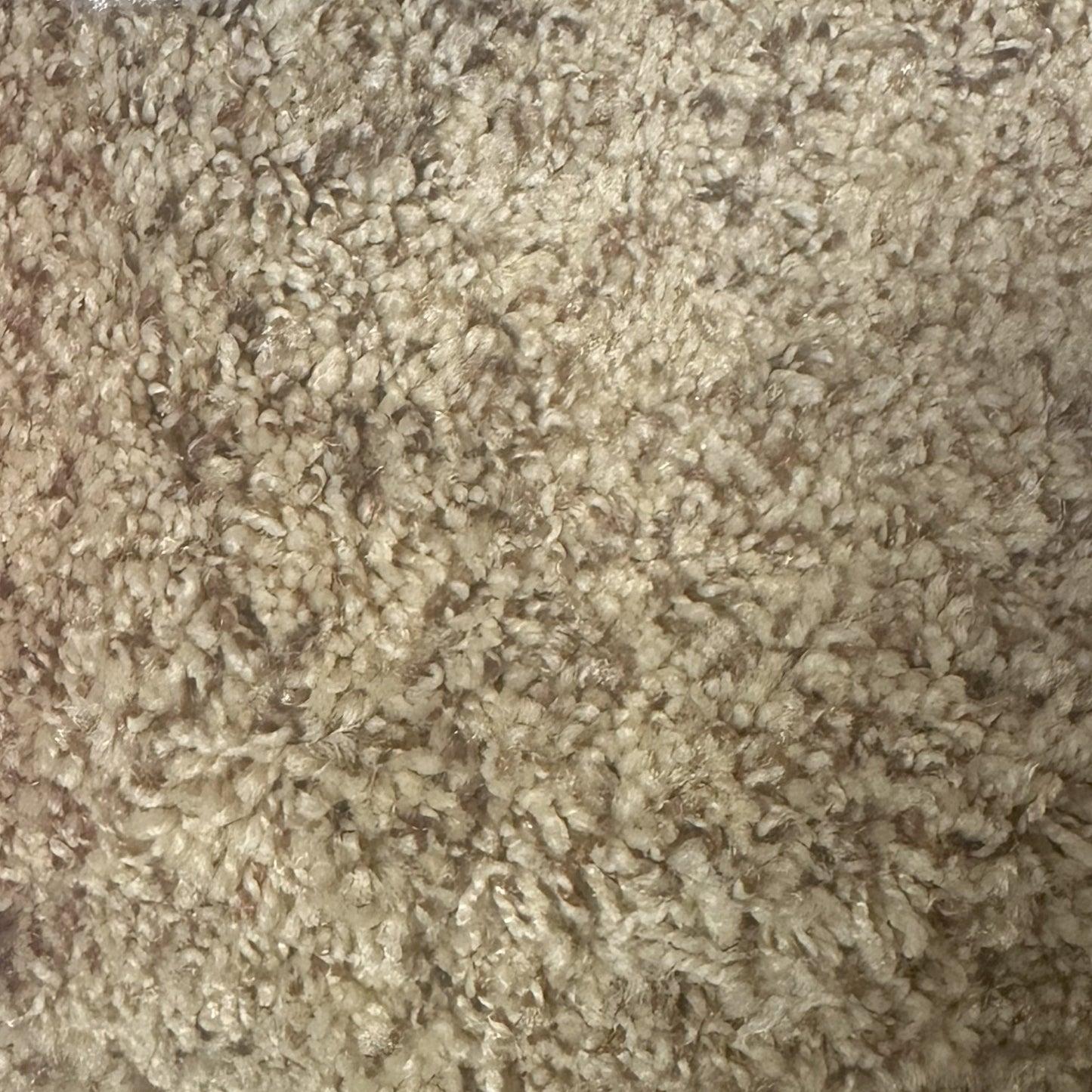 Sensation, Cottonwood