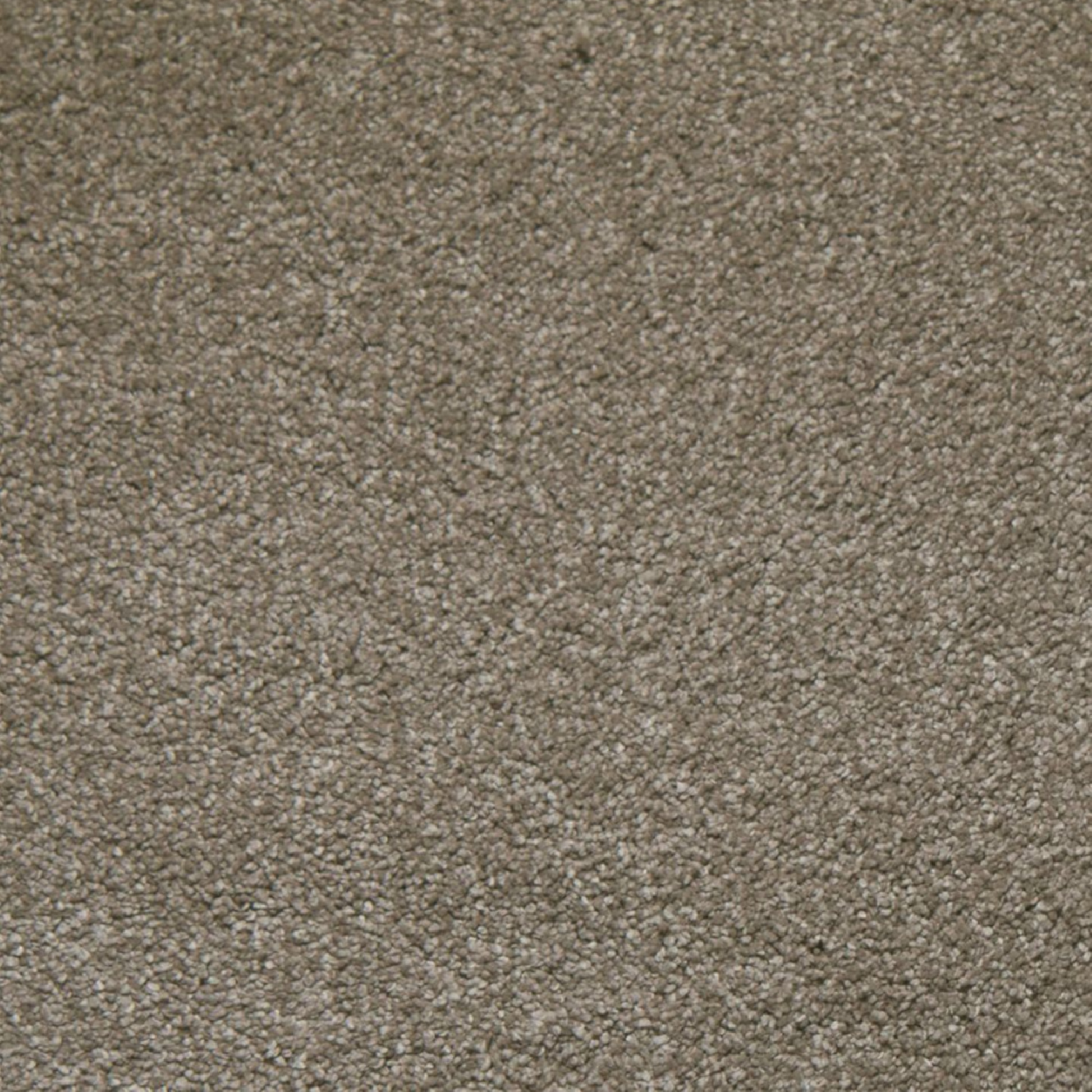Tarkett 100% Solution Dyed Primus PET SuperSoft Carpet with 58 oz Face Weight 