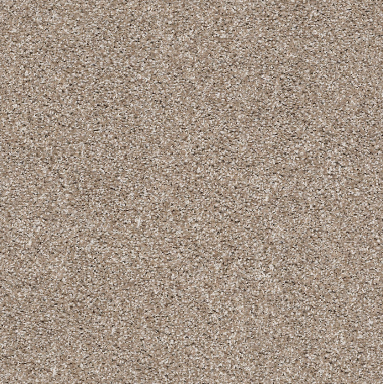 Suave, Tree Trunk & True Tan Carpet Remnants