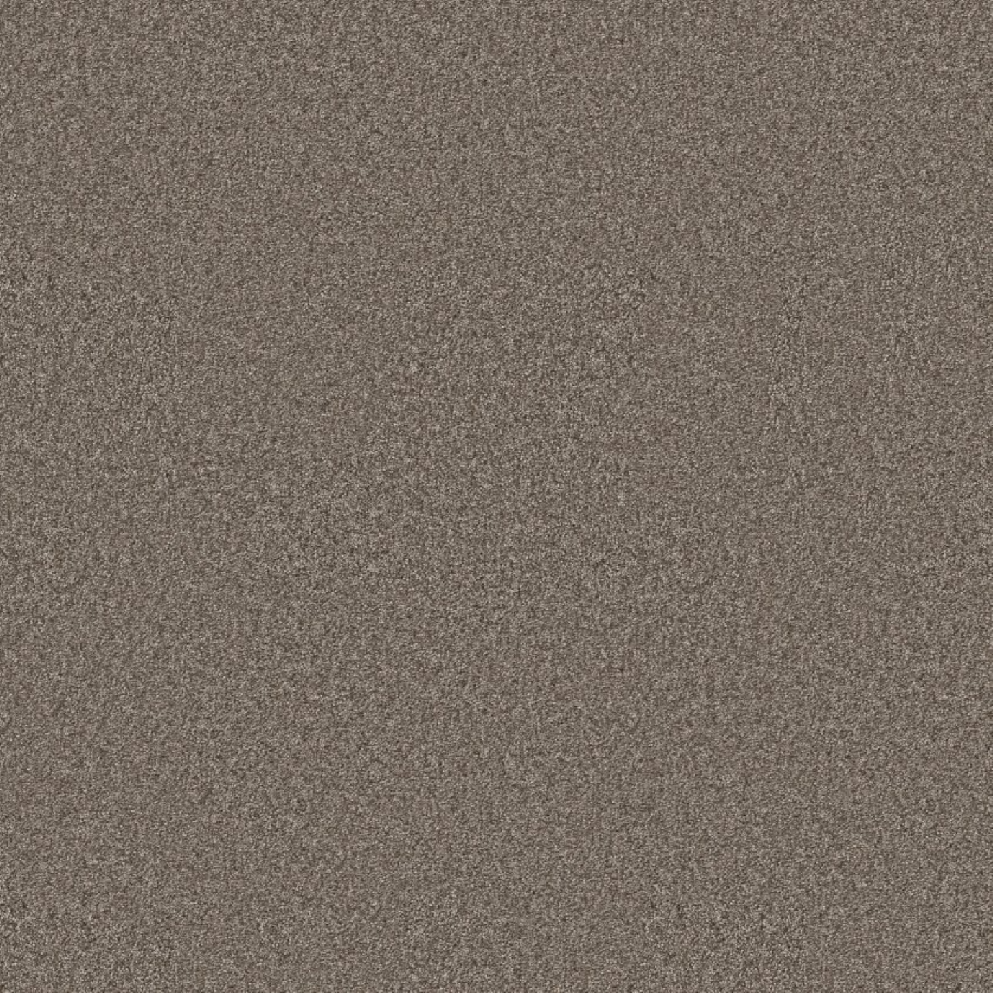 Pet Perfect Collection, 12 ft Width, 100% ANSO High Performance PET, 68.3 oz per sy, Continuous Dyed, SoftBac Backing, 33.33% Post-Consumer Recyled Content, Made in USA