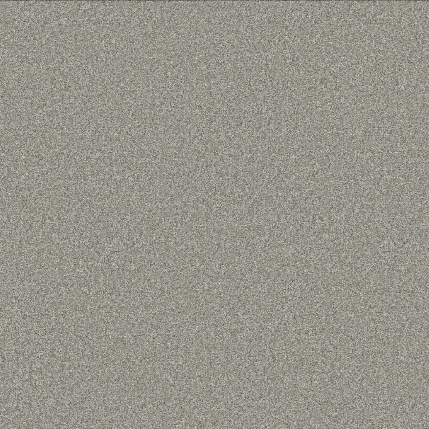 You Got This I Carpet