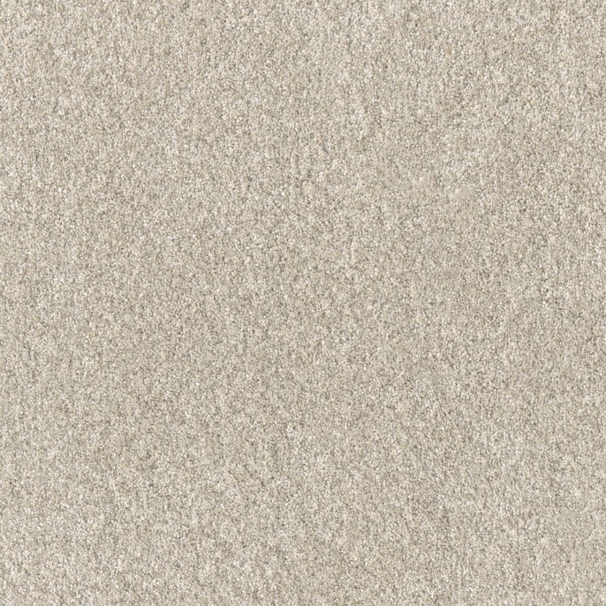 DreamWeaver® Affinity I Texture Carpet