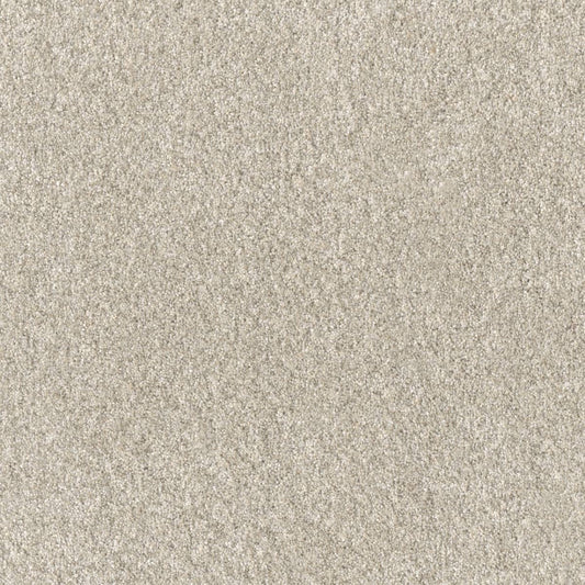 DreamWeaver® Affinity IV Texture Carpet
