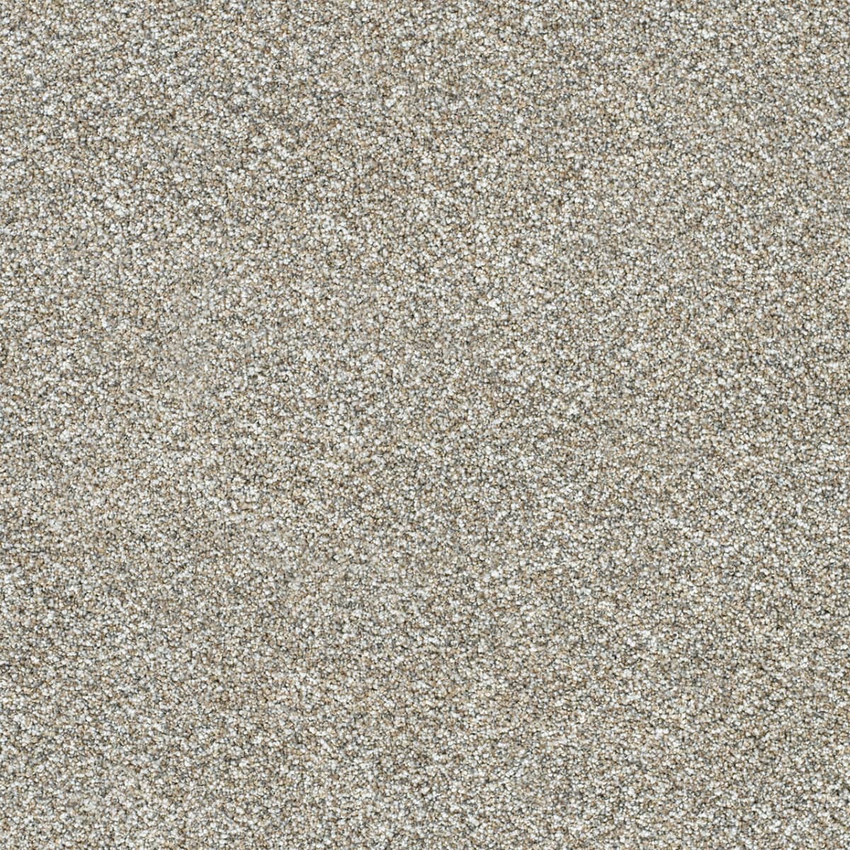 DreamWeaver® Affinity I Texture Carpet