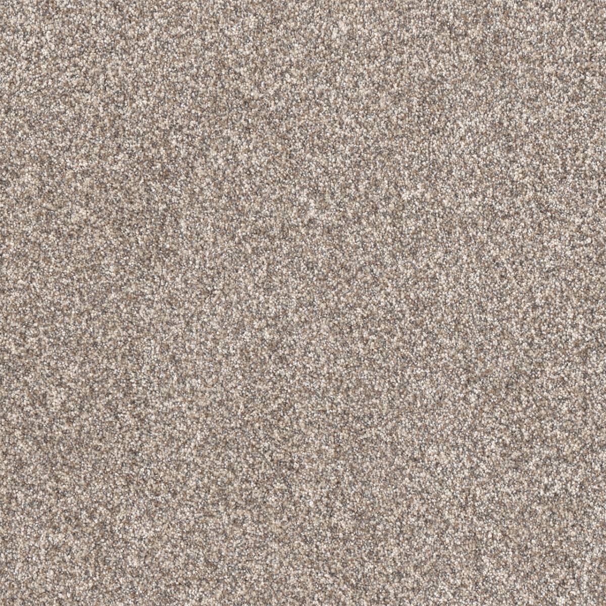 DreamWeaver® Affinity I Texture Carpet