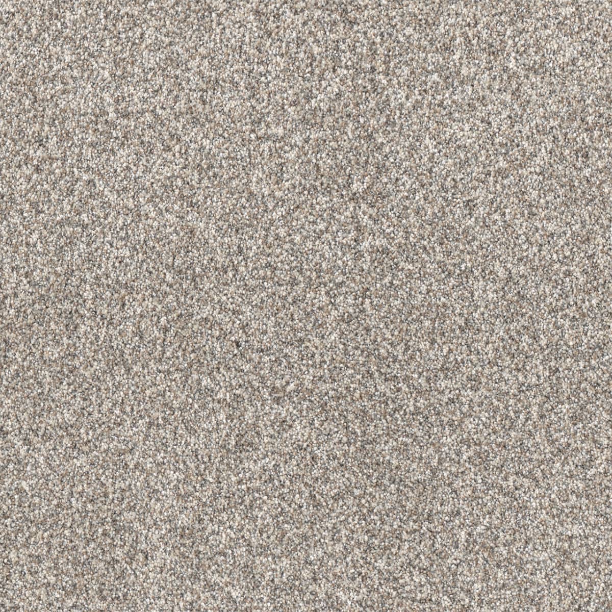 DreamWeaver® Affinity I Texture Carpet