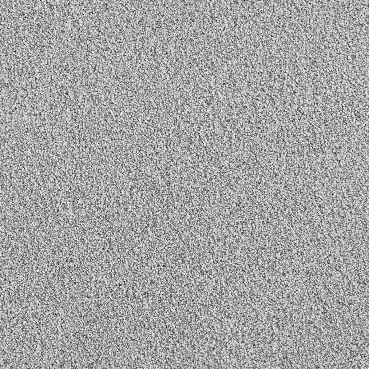 DreamWeaver® Affinity I Texture Carpet
