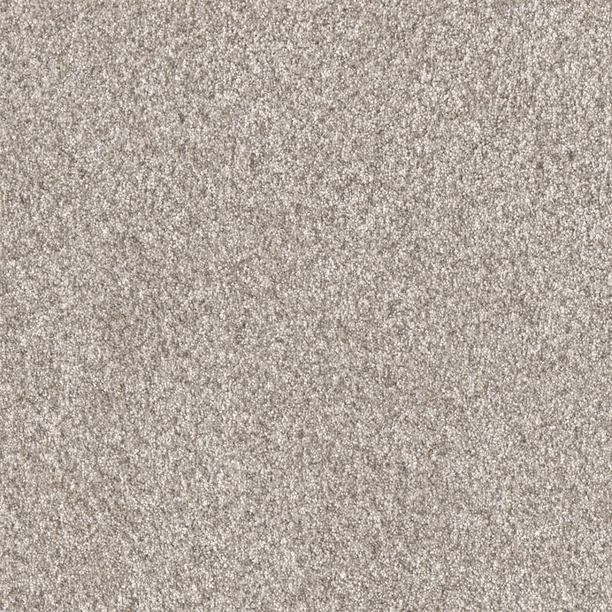 DreamWeaver® Affinity I Texture Carpet