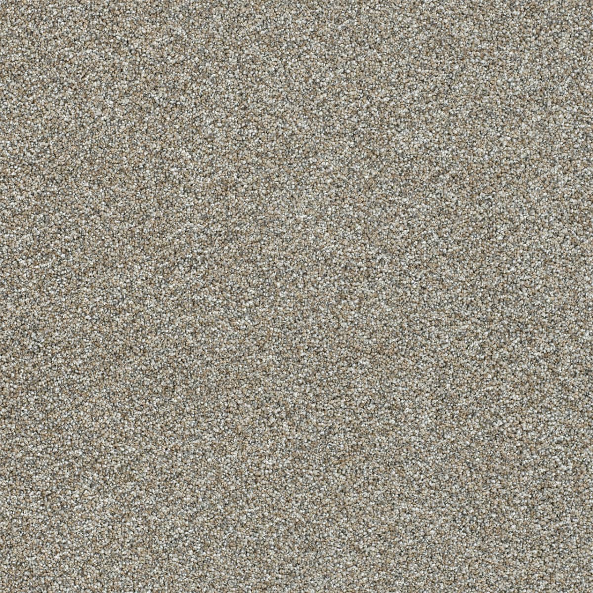 DreamWeaver® Affinity I Texture Carpet