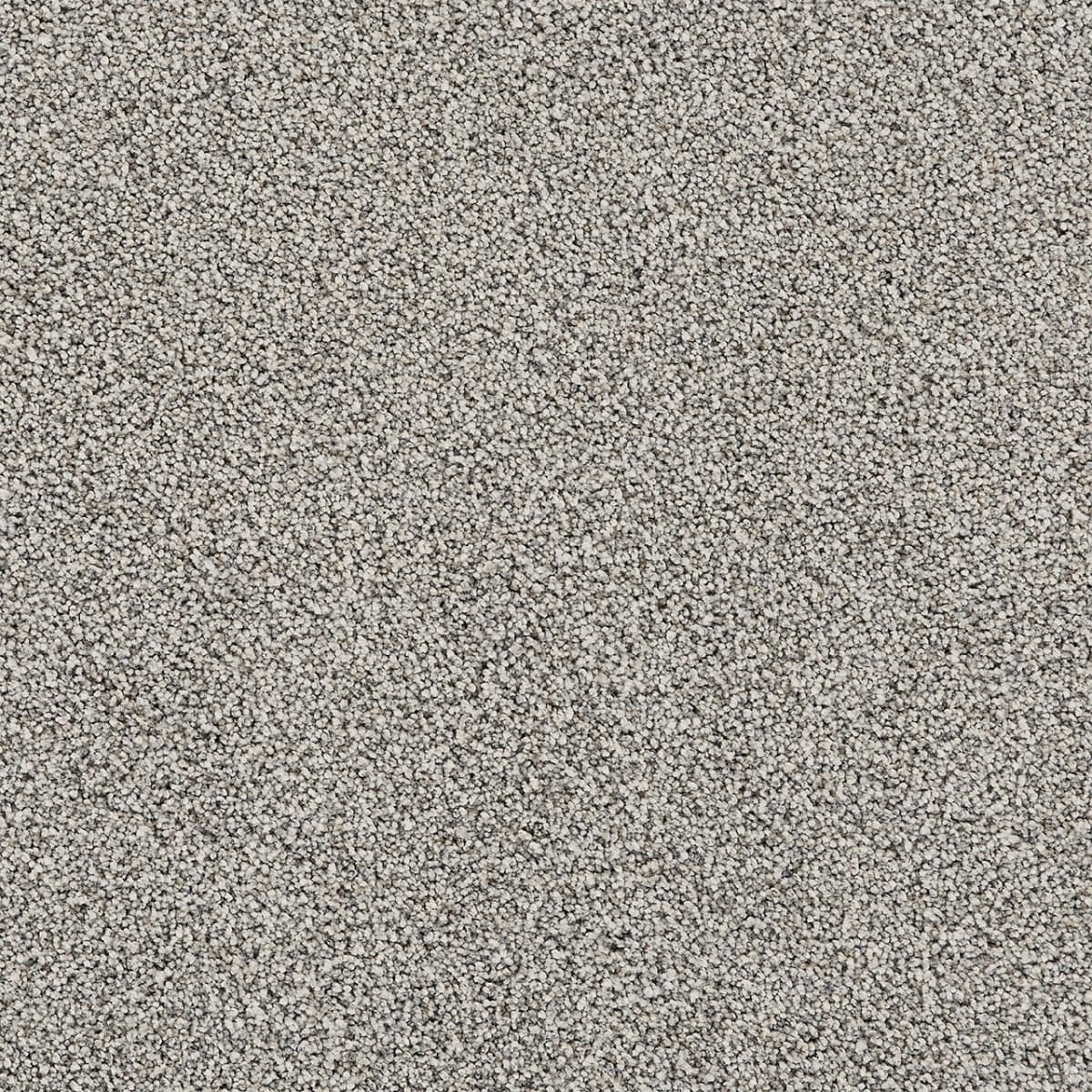 DreamWeaver® Affinity I Texture Carpet
