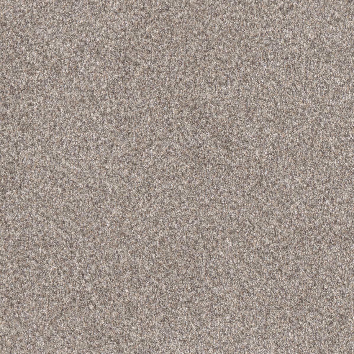 DreamWeaver® Affinity I Texture Carpet