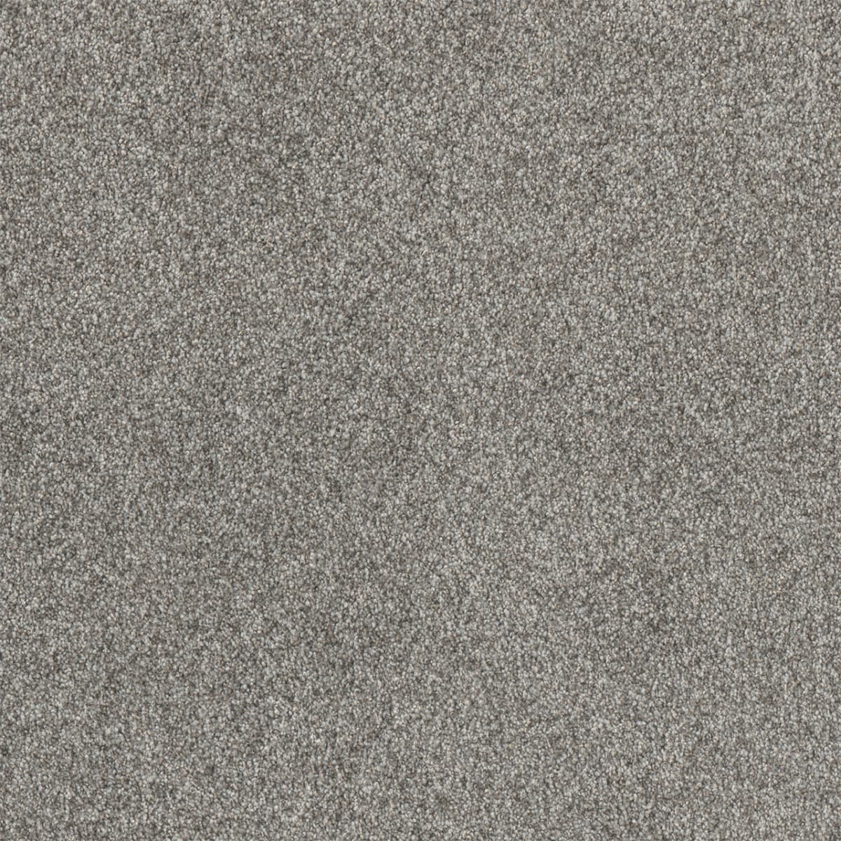 DreamWeaver® Affinity I Texture Carpet
