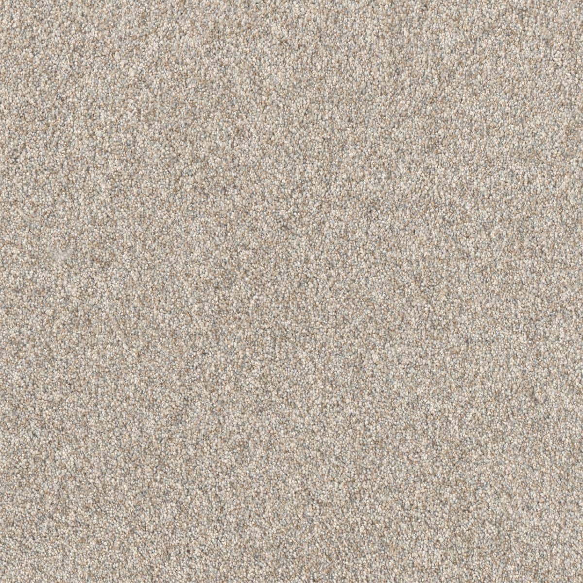 DreamWeaver® Affinity I Texture Carpet