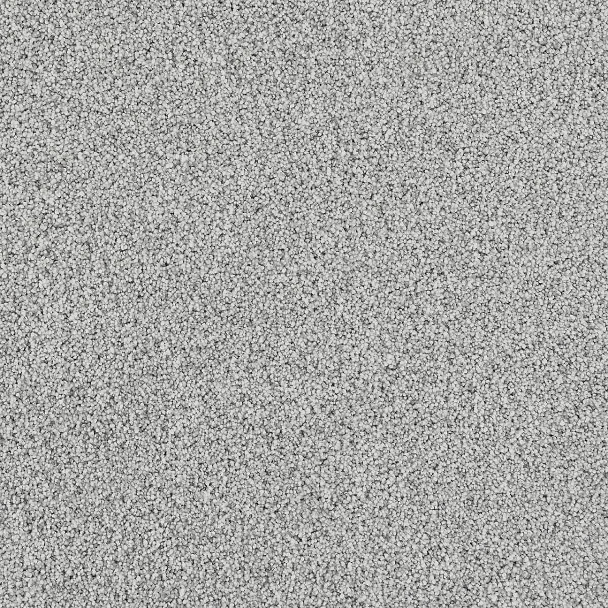 DreamWeaver® Affinity I Texture Carpet