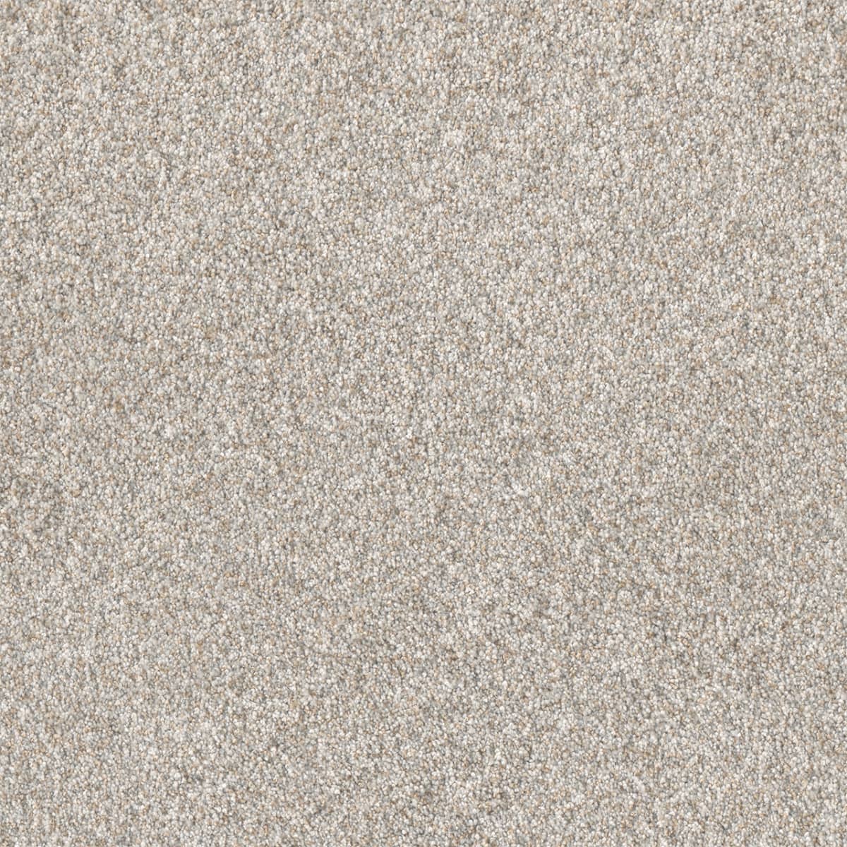 DreamWeaver® Affinity I Texture Carpet