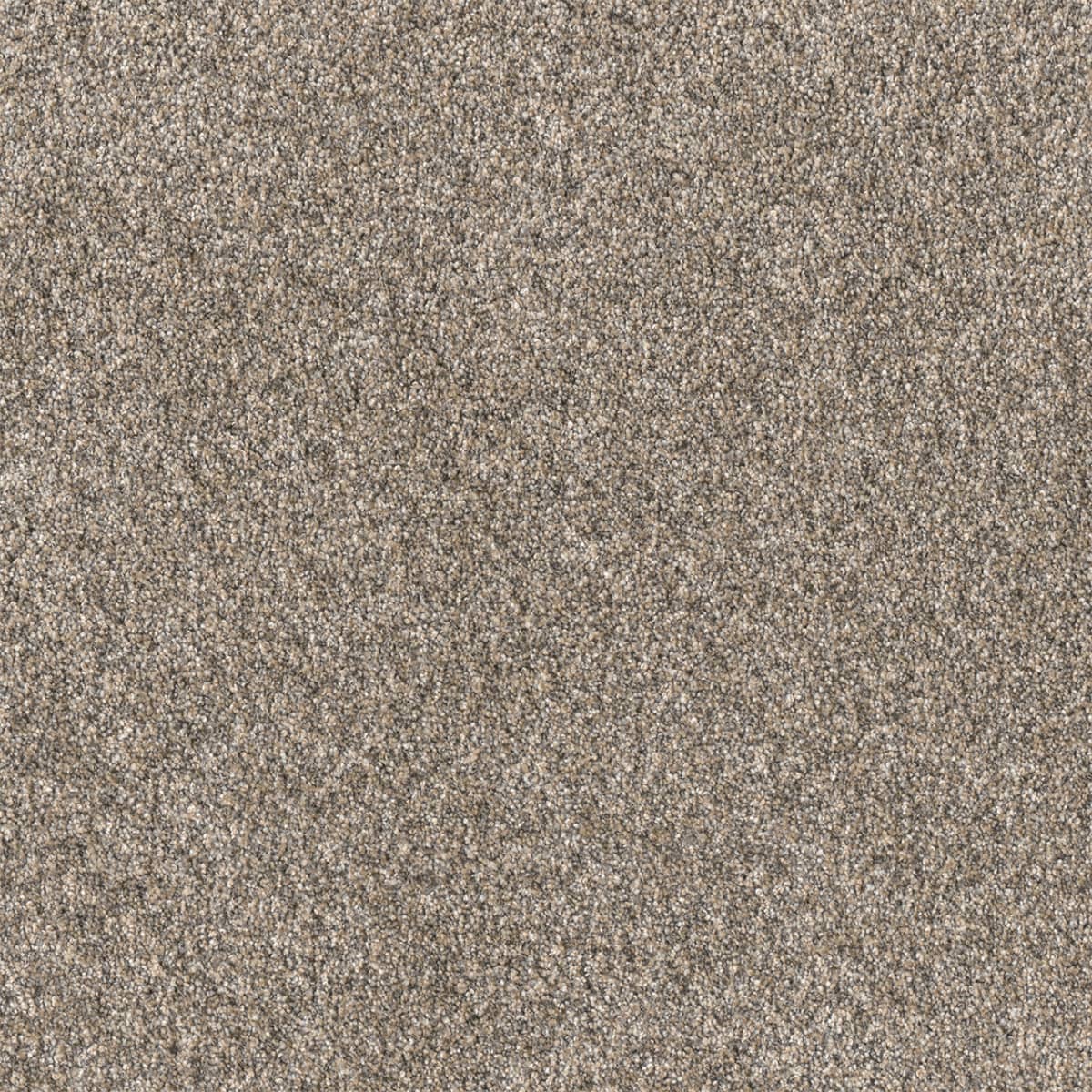 DreamWeaver® Affinity I Texture Carpet