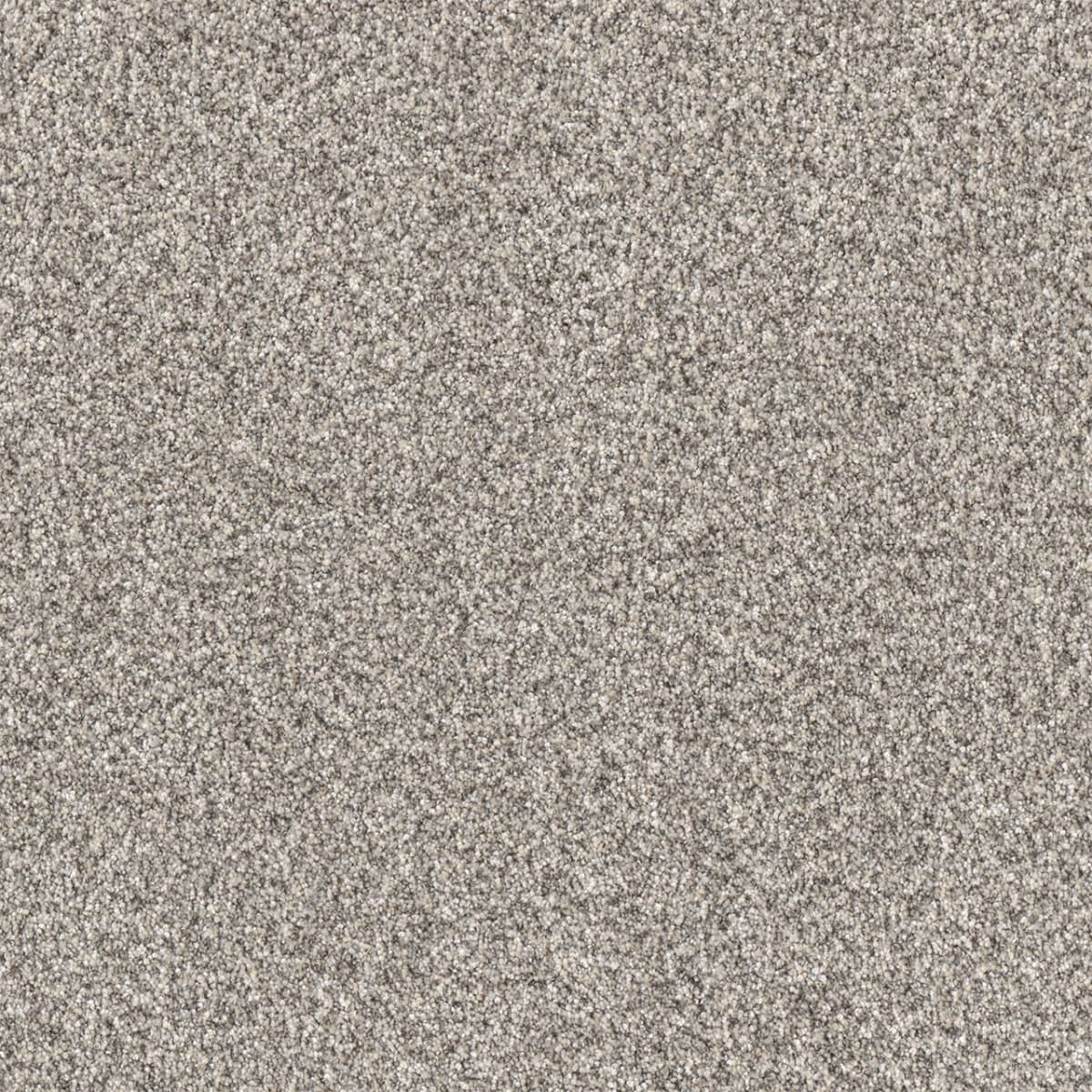 DreamWeaver® Affinity I Texture Carpet