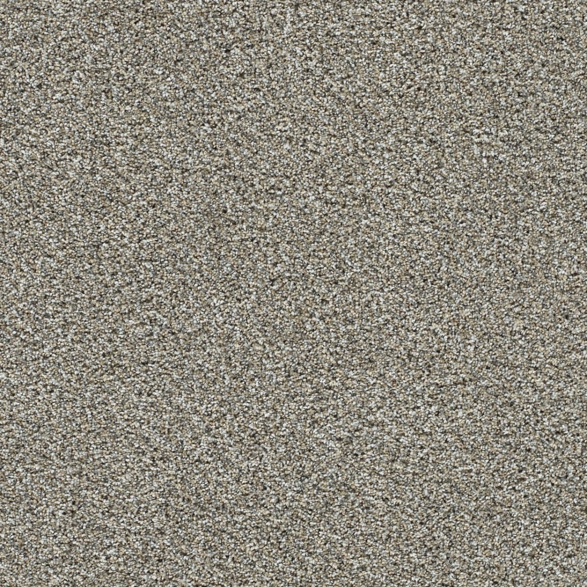 DreamWeaver® Autumn Glow II Texture Carpet