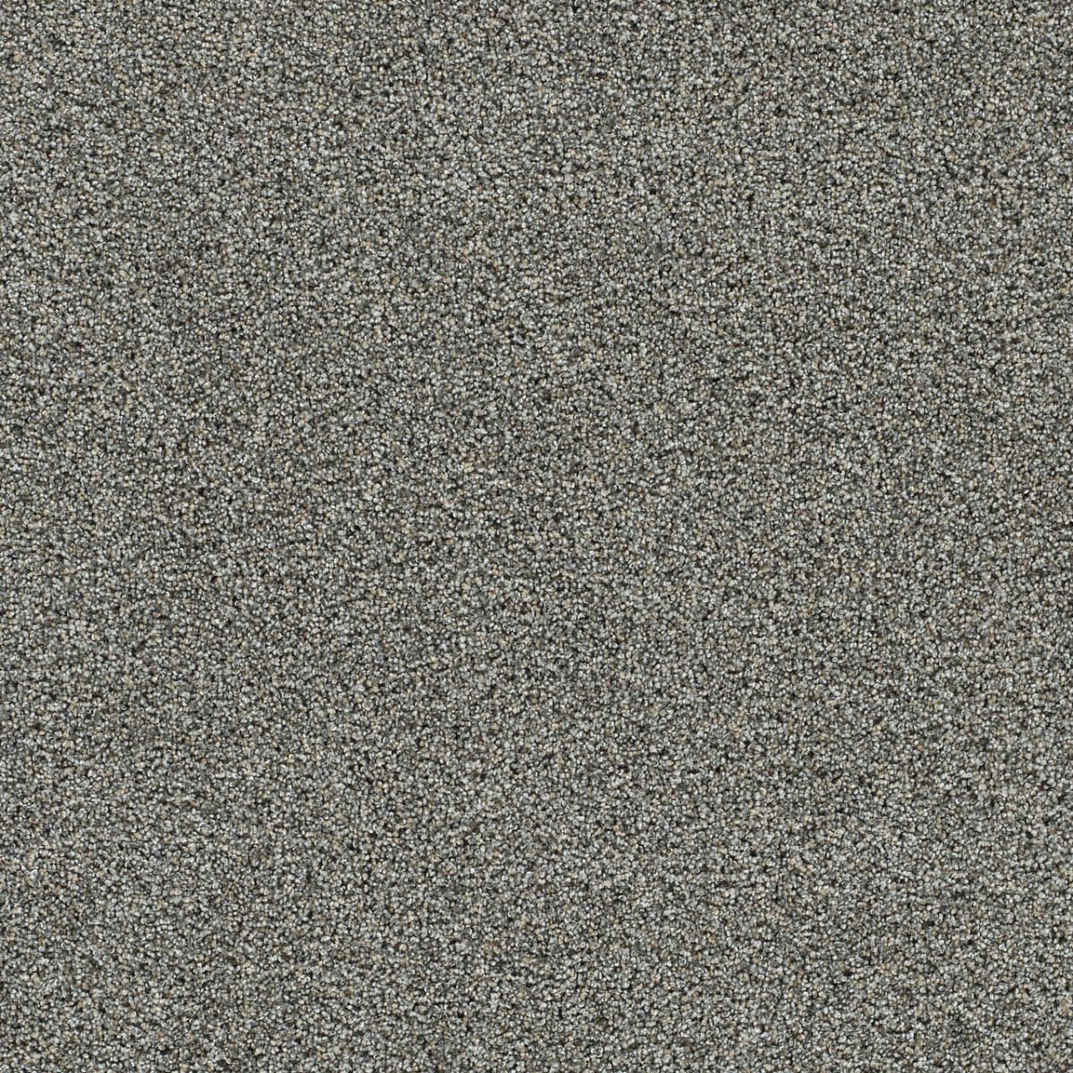DreamWeaver® Autumn Glow II Texture Carpet