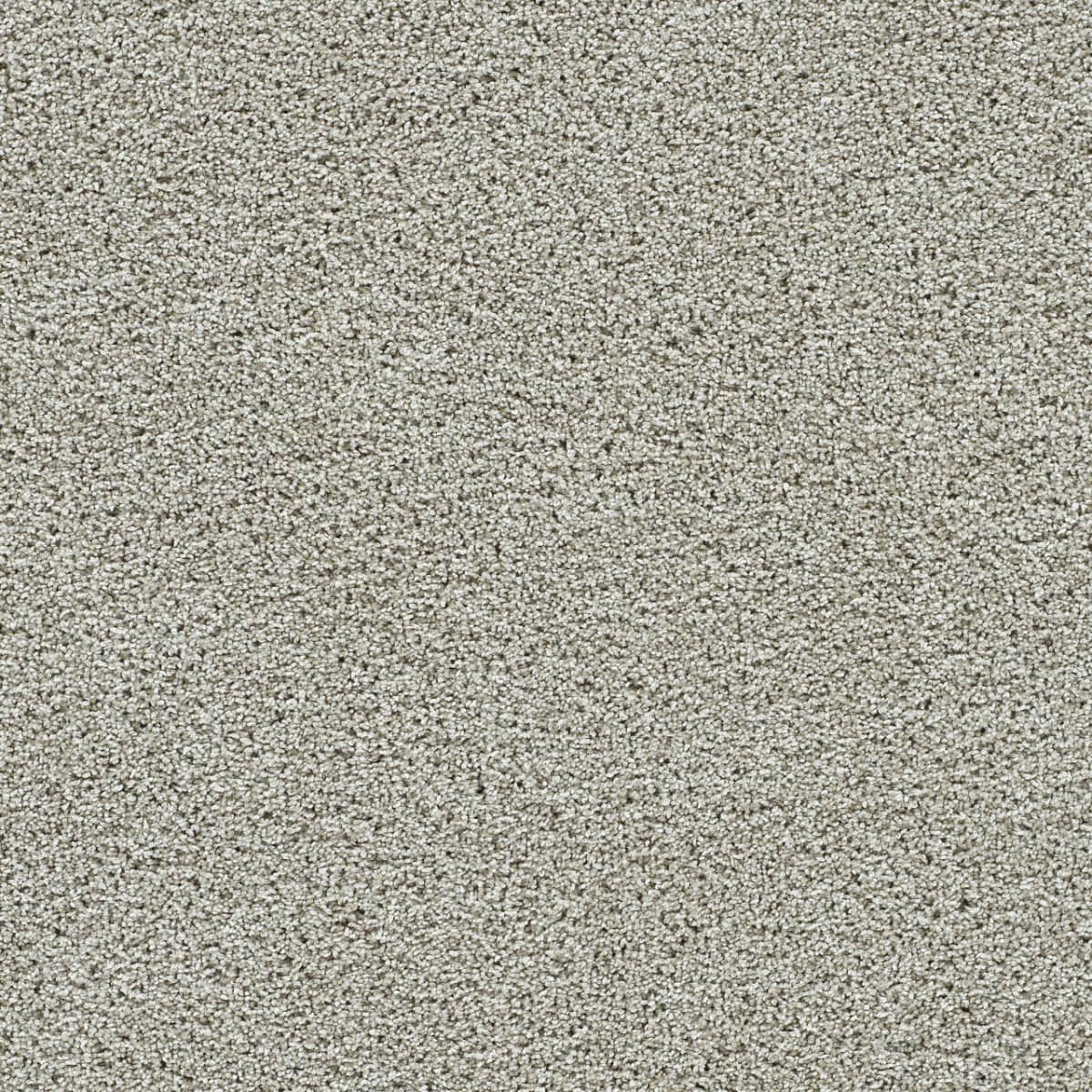 DreamWeaver® Autumn Glow II Texture Carpet
