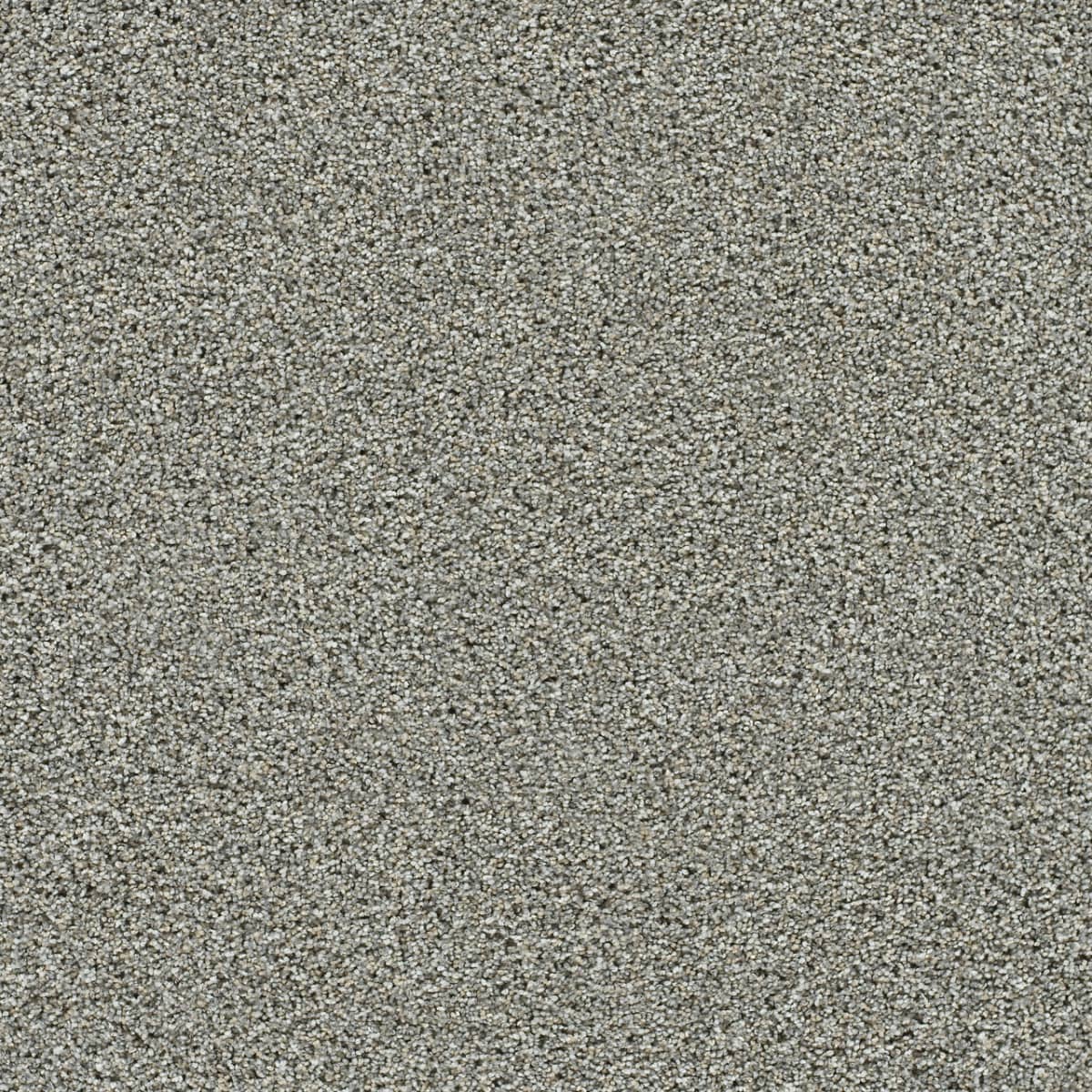 DreamWeaver® Autumn Glow II Texture Carpet