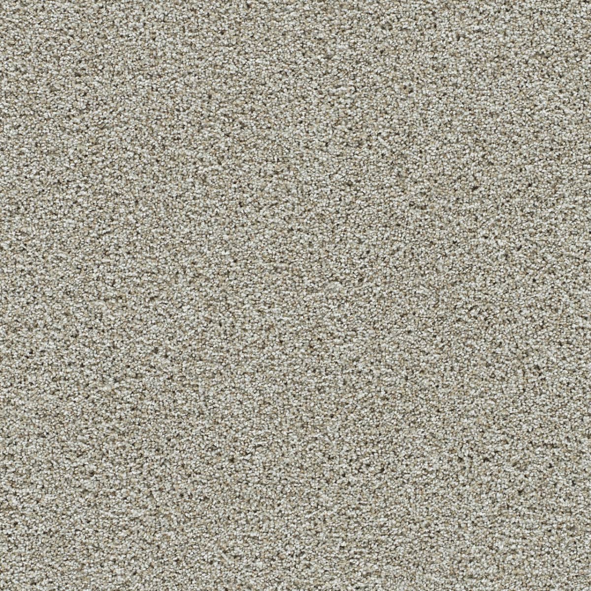 DreamWeaver® Autumn Glow II Texture Carpet