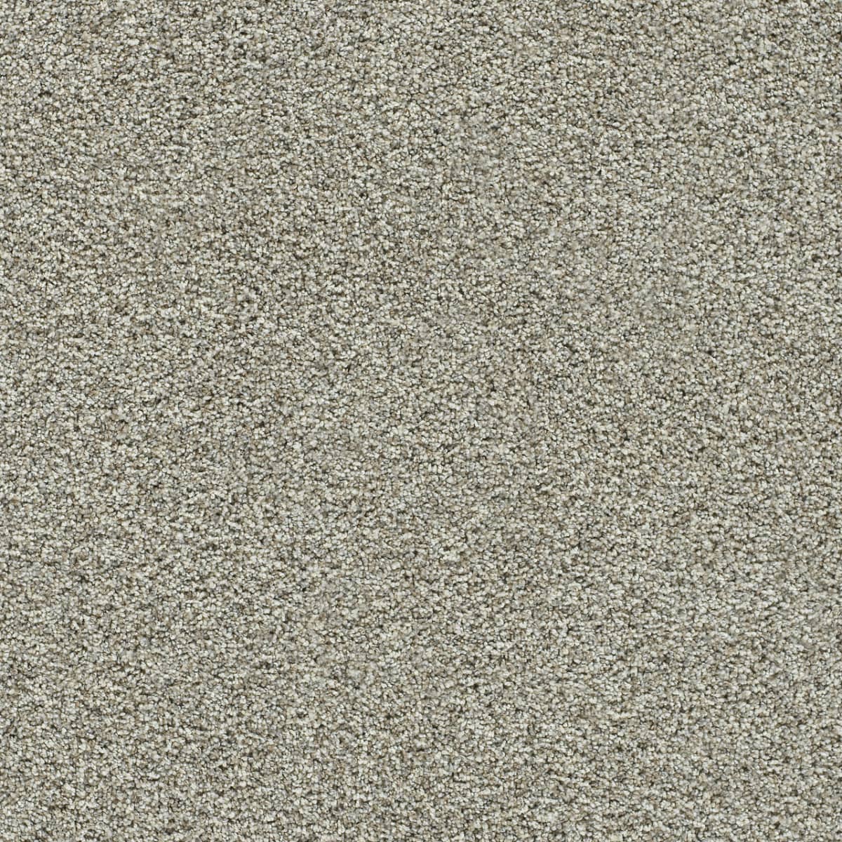 DreamWeaver® Autumn Glow II Texture Carpet