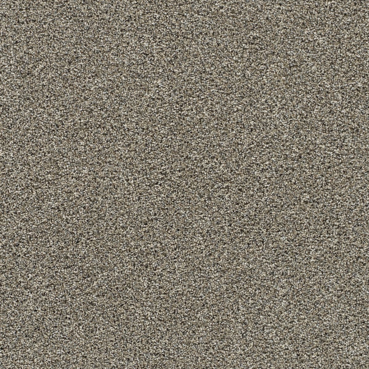 DreamWeaver® Autumn Glow II Texture Carpet