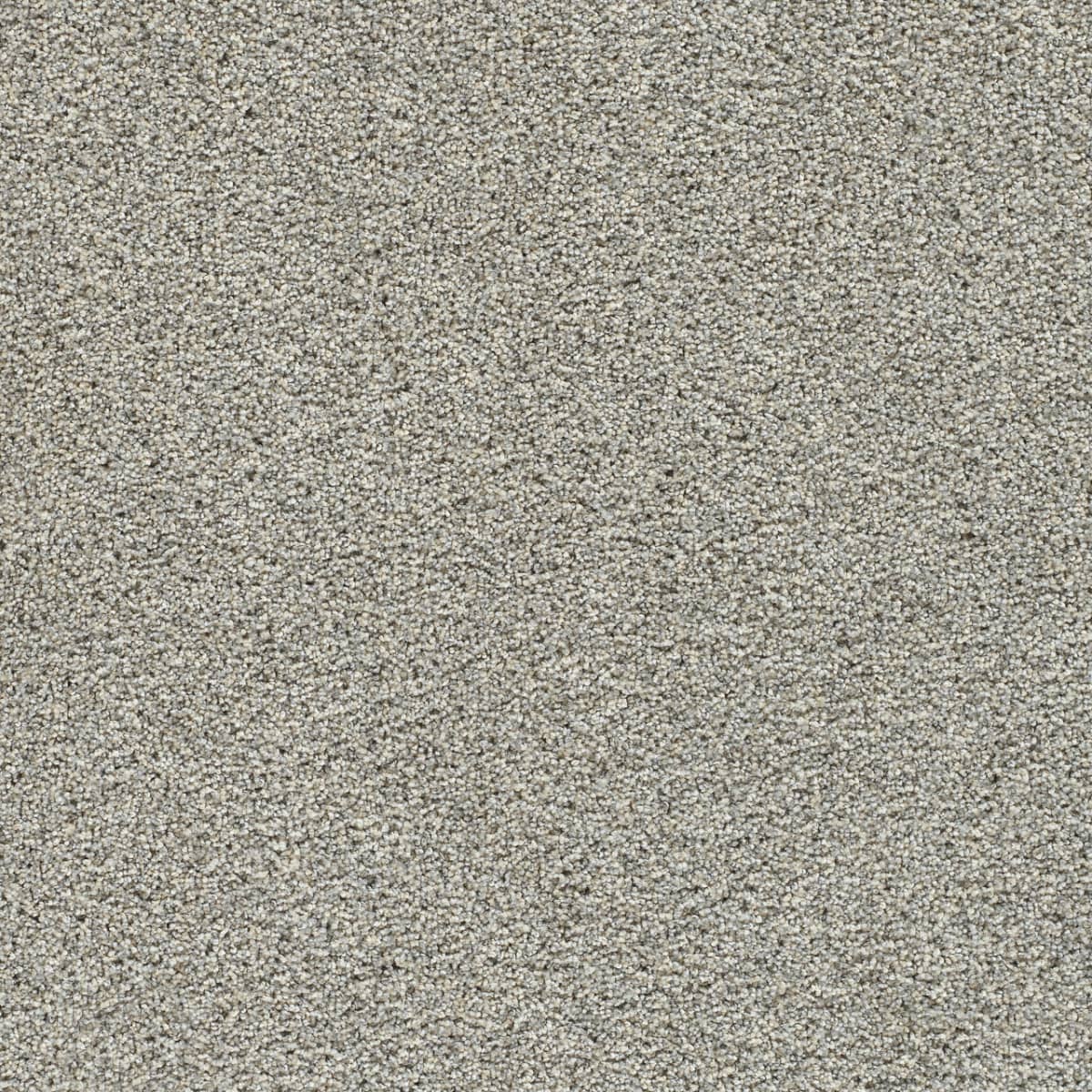 DreamWeaver® Autumn Glow II Texture Carpet