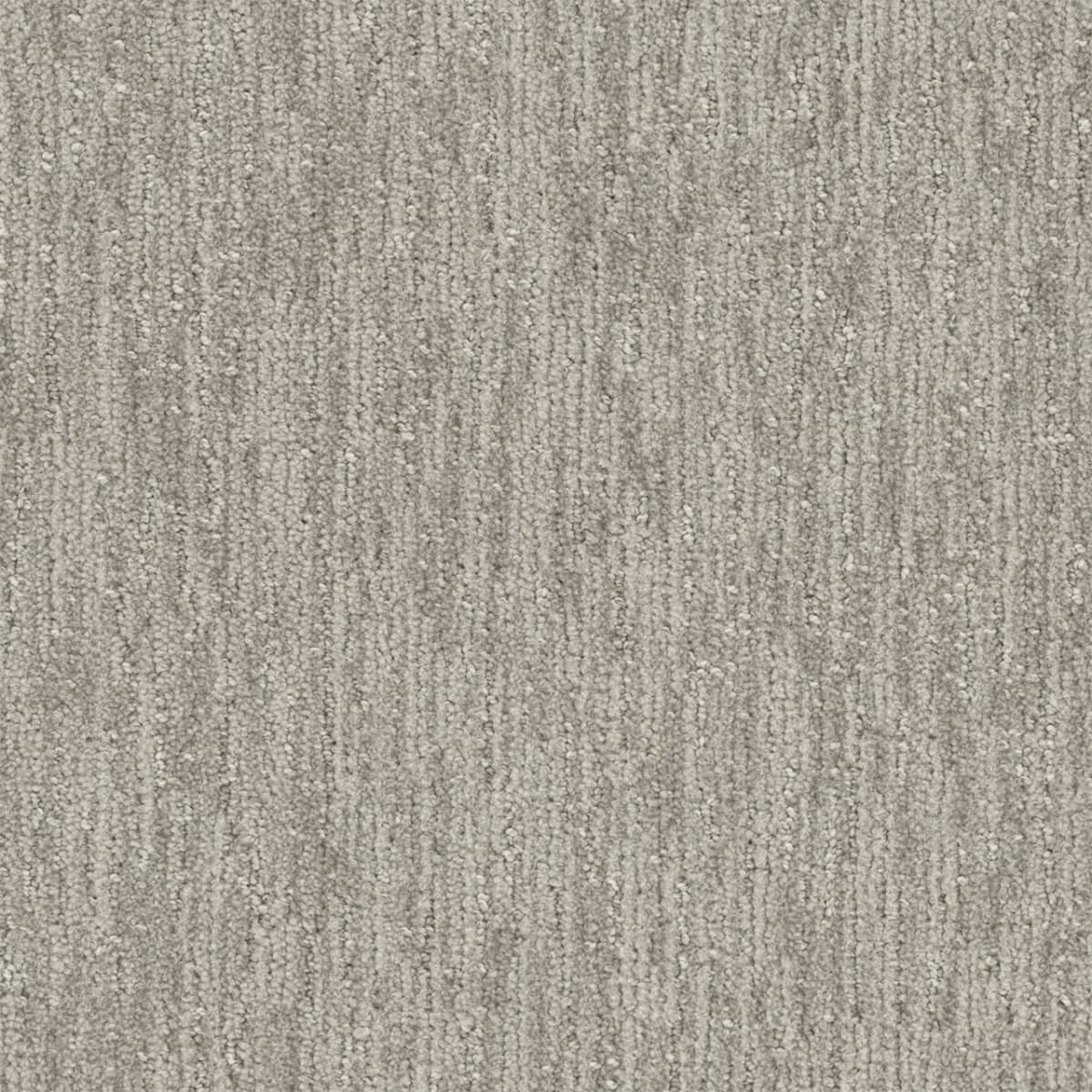 DreamWeaver® Select Baja Patterned Carpet