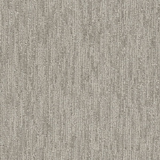 DreamWeaver® Select Baja Patterned Carpet
