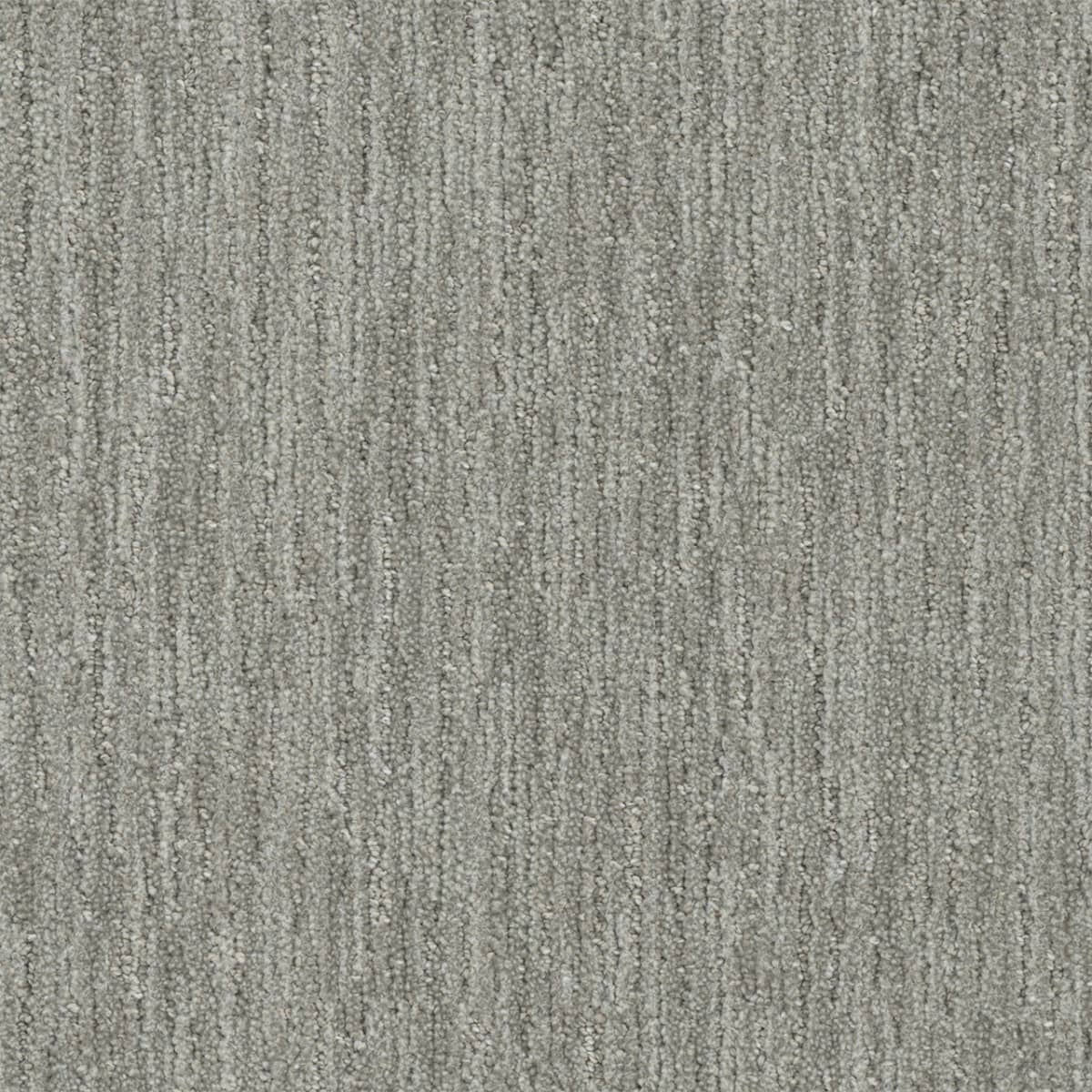DreamWeaver® Select Baja Patterned Carpet