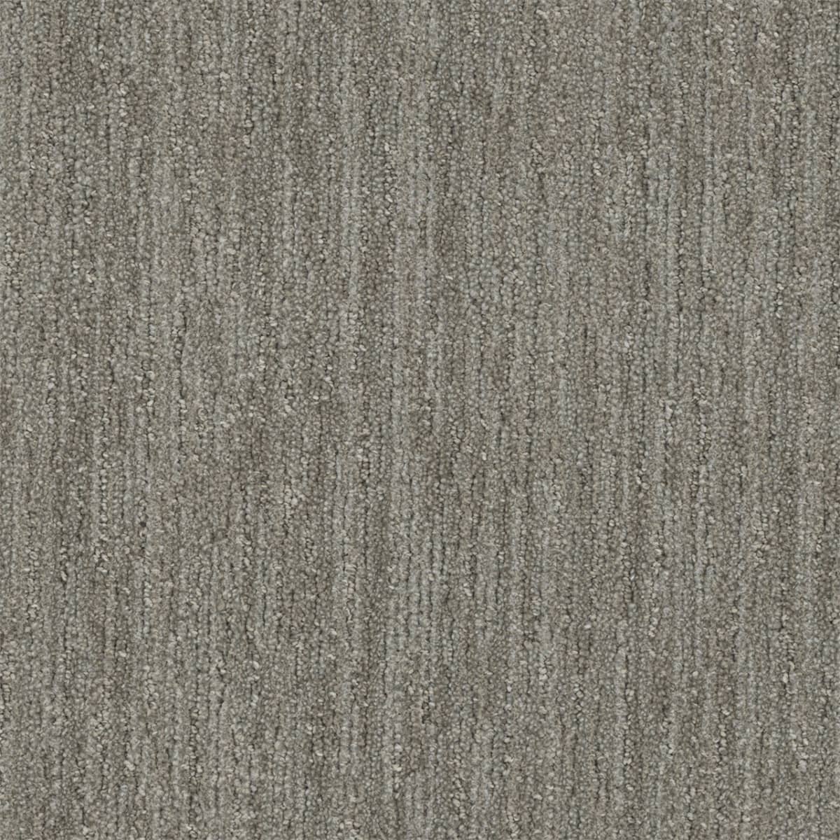 DreamWeaver® Select Baja Patterned Carpet