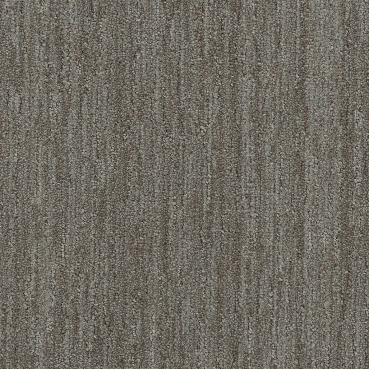 DreamWeaver® Select Baja Patterned Carpet
