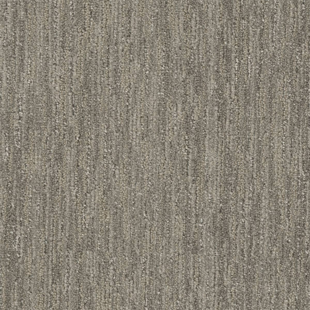 DreamWeaver® Select Baja Patterned Carpet