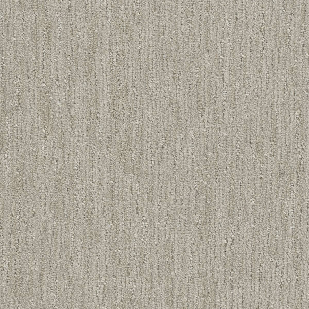 DreamWeaver® Select Baja Patterned Carpet