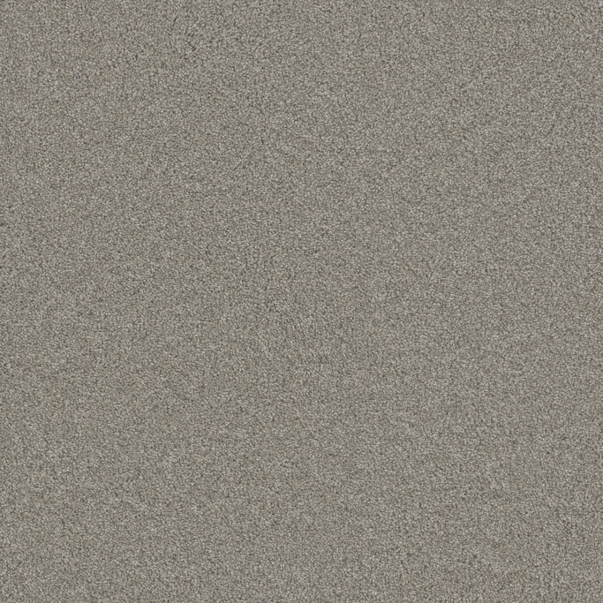 DreamWeaver® Blazer I Textured Cut Pile Carpet