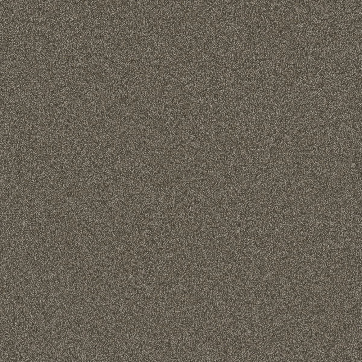 DreamWeaver® Blazer I Textured Cut Pile Carpet