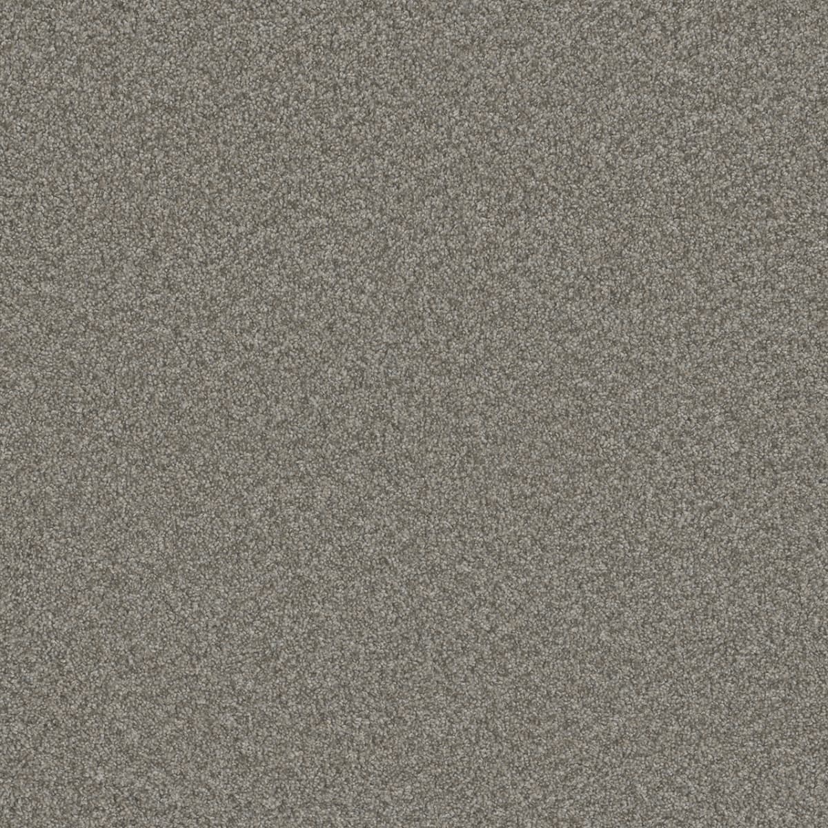 DreamWeaver® Blazer I Textured Cut Pile Carpet