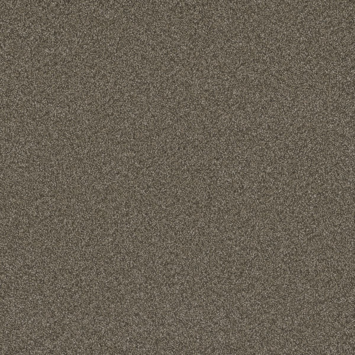 DreamWeaver® Blazer I Textured Cut Pile Carpet