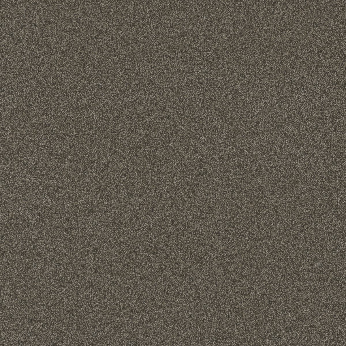 DreamWeaver® Blazer I Textured Cut Pile Carpet
