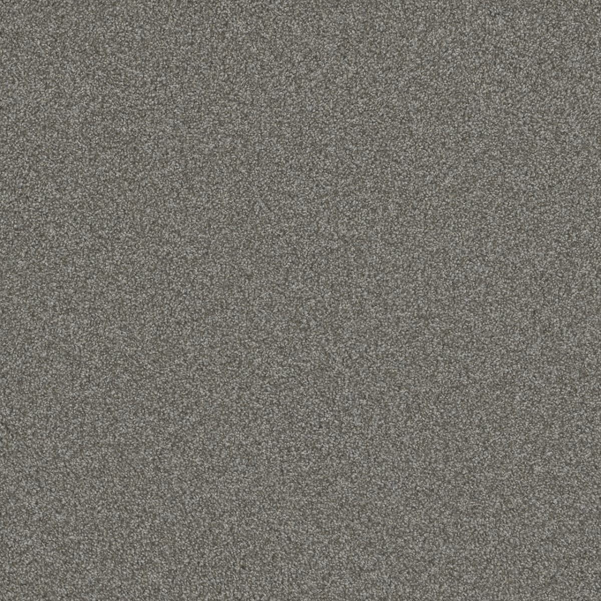 DreamWeaver® Blazer I Textured Cut Pile Carpet