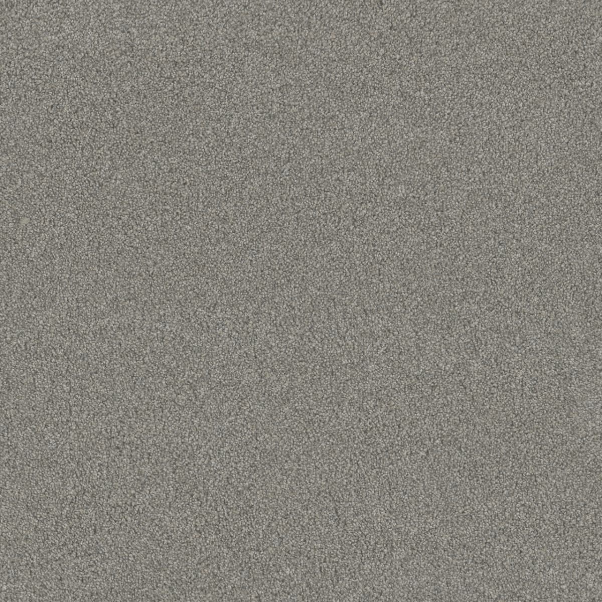 DreamWeaver® Blazer I Textured Cut Pile Carpet
