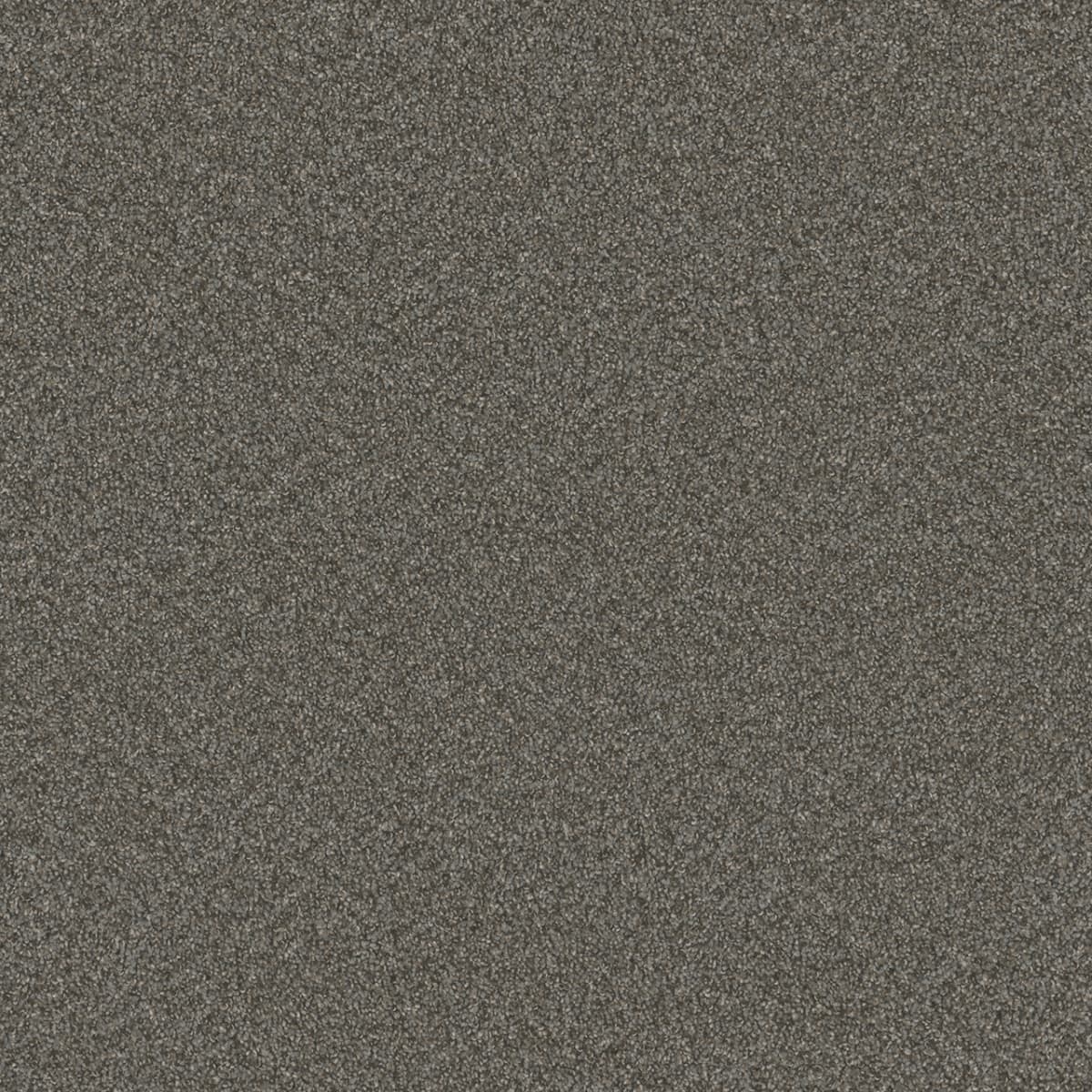 DreamWeaver® Blazer I Textured Cut Pile Carpet