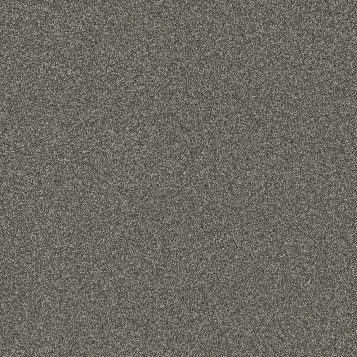 DreamWeaver® Blazer I Textured Cut Pile Carpet